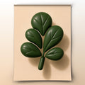 CLOVER